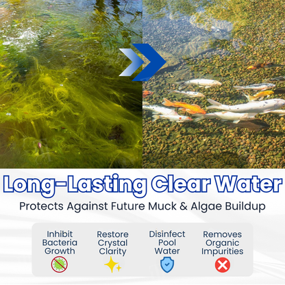 ⏱️ Crystal Clear in 24 Hours! | AQUA-SENTRA Pro Formula